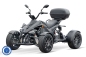 Preview: Spy E9 Series EEC Eco Quad 4kW 4000W inkl. 8,4kW/h 72V 117Ah Lithium Batterie