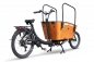 Preview: Elektrofahrrad Qivelo Curve 2 7SP 250W Pedelec E-Bike Lastenfahrrad 26 Zoll 7-Gang Shimano Kettenschaltung