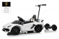 Lizenz Kinder Elektro Lamborghini Aventador SVJ 2x 35W 12V 7Ah inkl. Schiebebügel u. Stehplatz RC