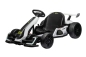Preview: Elektro Kinder Go-Kart F1 STYLE RACING 2x150W 24V/5Ah