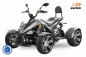 Preview: SPY Racing EEC Eco Quad 4kW 4000W inkl. 7,2kW/h 72V 100Ah Lithium Batterie