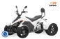 Preview: SPY Racing EEC Eco Quad 4kW 4000W inkl. 7,2kW/h 72V 100Ah Lithium Batterie