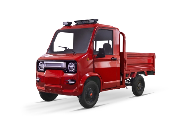 Preview: Cargo Worker P450 60V/72V 3000W without ELECTRIC HYDRAULIC PUMP mit Batterie Auswah,,charger extra