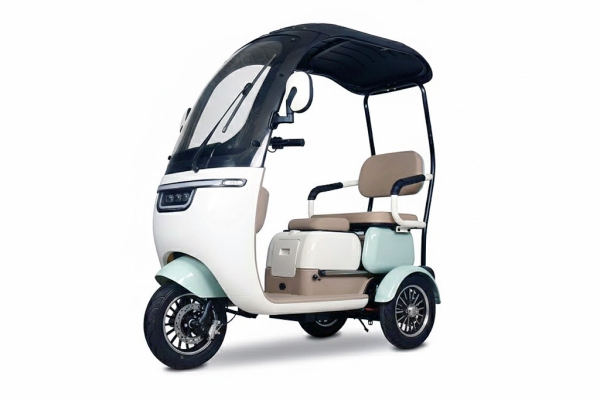 Electric Tricycle  Model SG-XY  60V1000W mit Batterie Auswahl