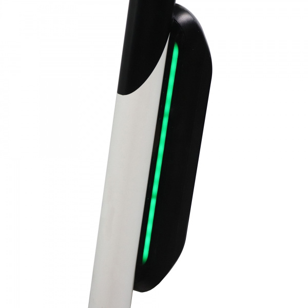 Elektro Scooter Segway ES4 300W 9