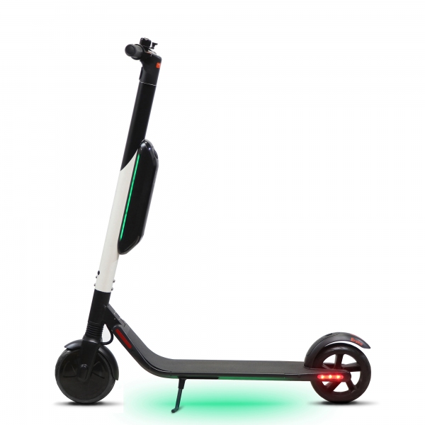 Elektro Scooter Segway ES4 300W 9
