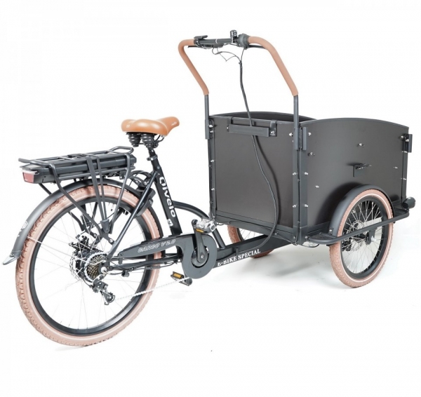 Elektrofahrrad Qivelo City E-Bike 250W Pedelec Lastenfahrrad 26 Zoll 7-Gang Shimano