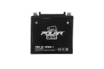 12V 14Ah Polar Bär AGM Starterbatterie | Akku für Motorrad, Roller & ATVs